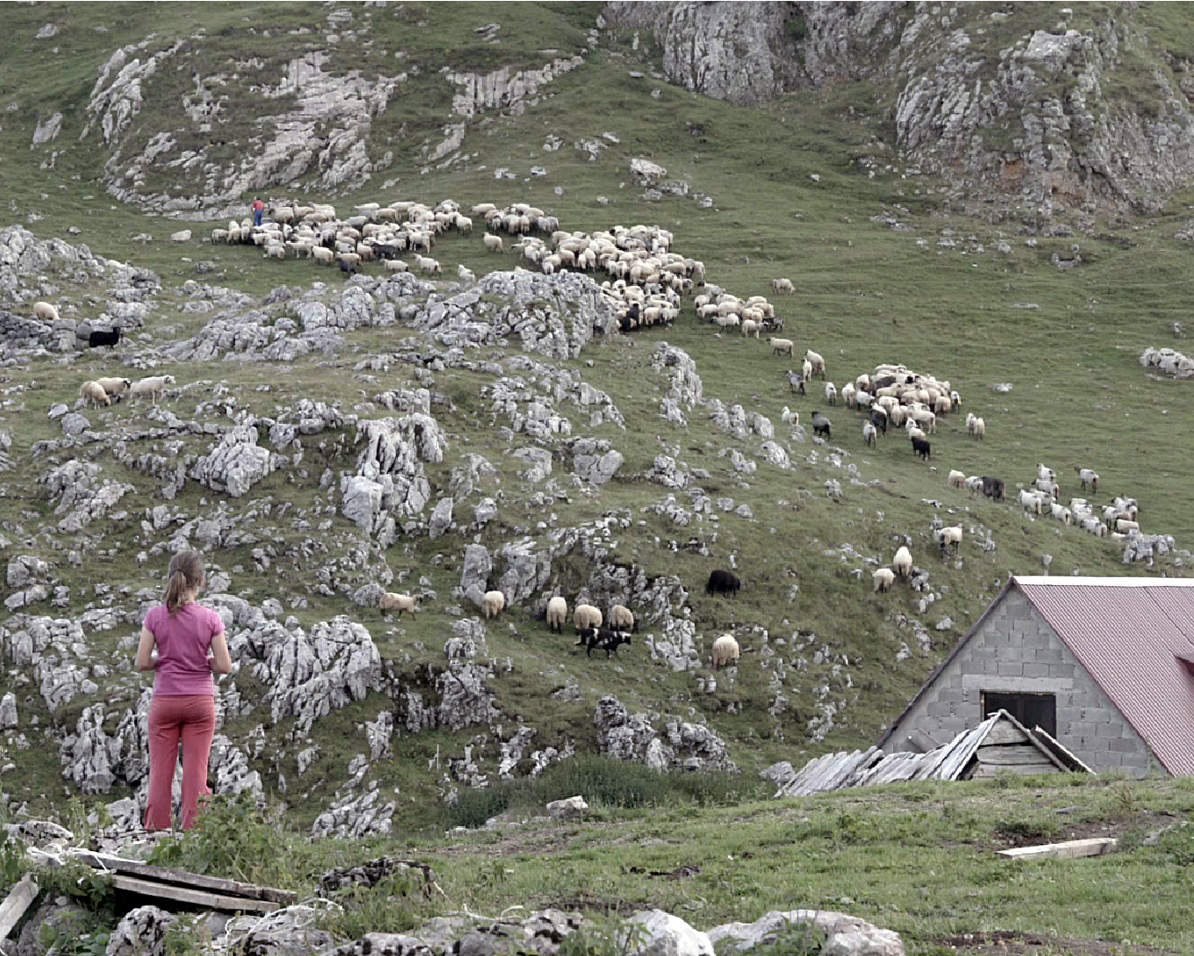 Imagen que representa el hito del año 2020